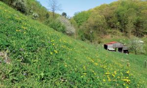 Homesteading on Marginal Land